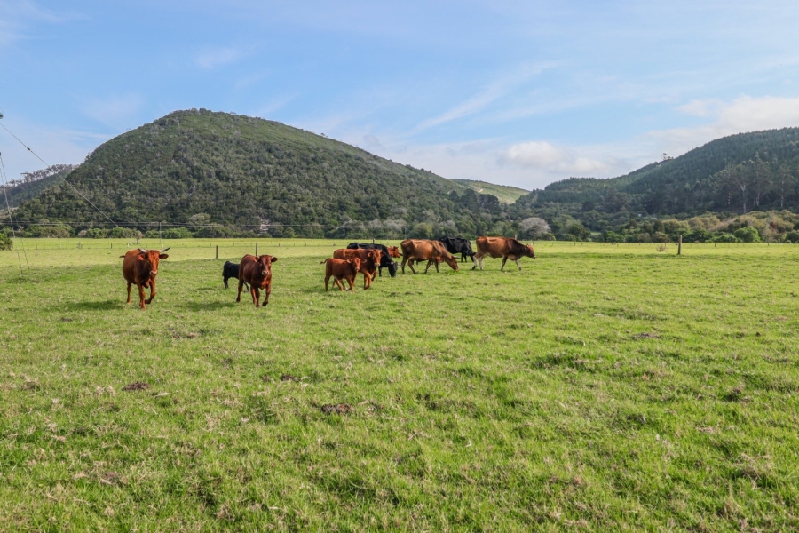 14 Bedroom Property for Sale in Knysna Rural Western Cape